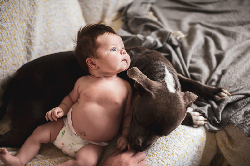 bébé avec son chien dans le canapé famille lifestyle naissance