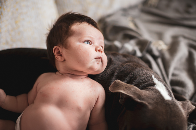 bébé avec son chien dans le canapé famille lifestyle naissance