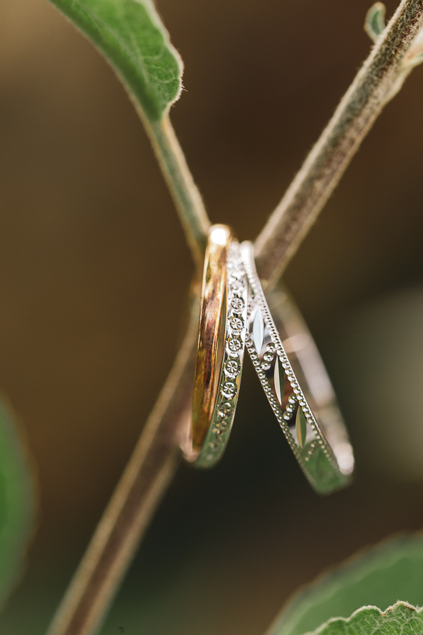 photo des alliances en gros plan posé sur une branche