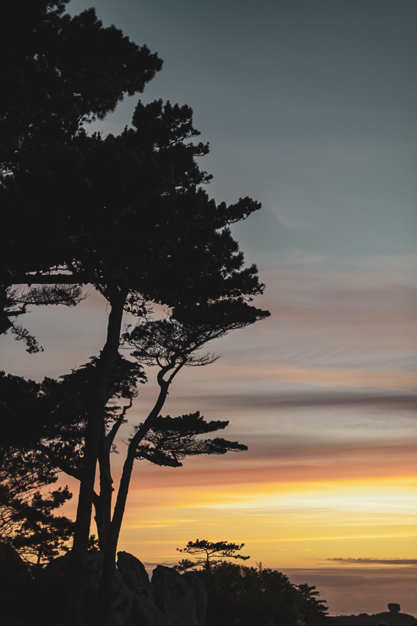 Ombre et lumière des arbres lors du coucher de soleil. Trégastel