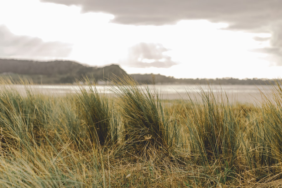 décors naturel seance photo, dune oyat