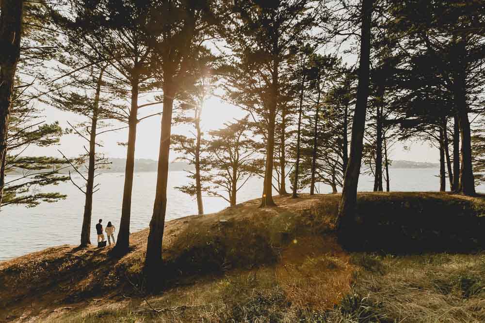 paysage couple coucher de soleil dans les arbres devant la mer cadre ideale seance photo