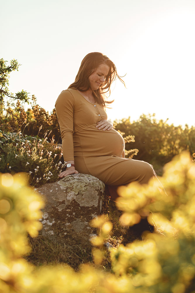 portrait femme enceinte dans la nature, ajonc et fleur coucher de soleil