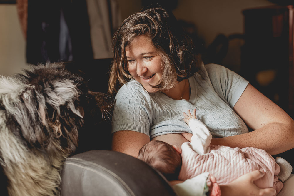 allaitement de bébé et chien curieux