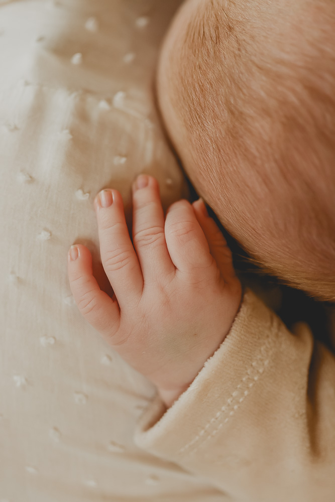 petit mains de bébé tendre et mignon lannion